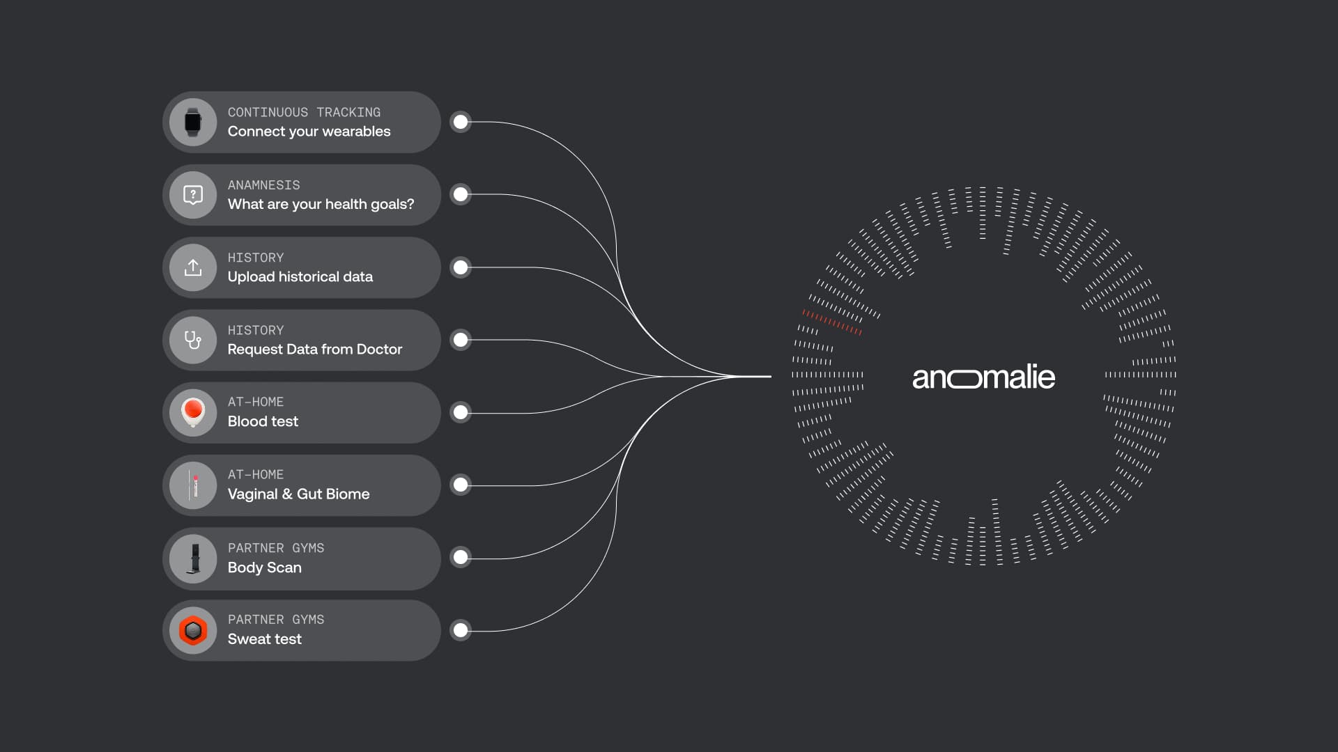 Health data from wearables, health goals, historical records, doctors and tests flows into the anomalie HealthTree