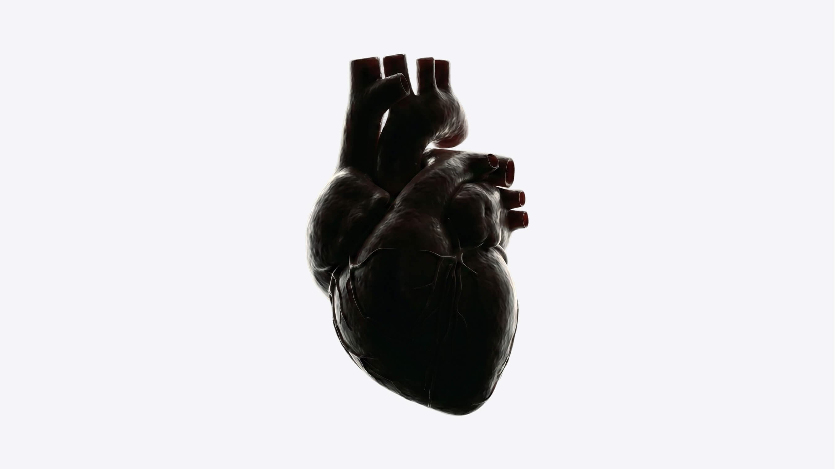 Heart health and vascular risk